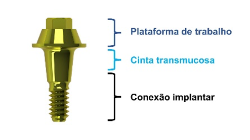 Plataforma e cinta transmucosa do mini-pilar